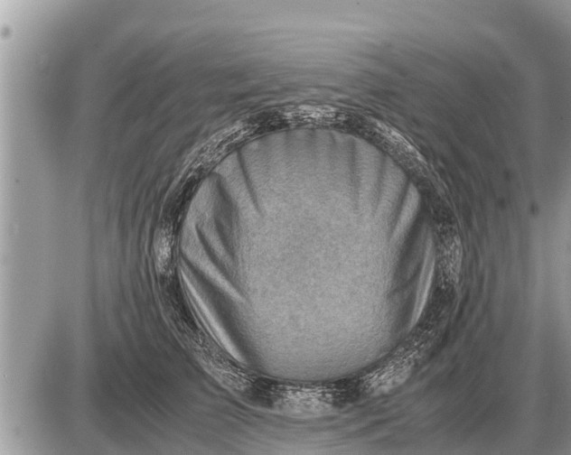 X0000087400709200705042035