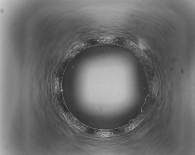 X0000087400711200705042035