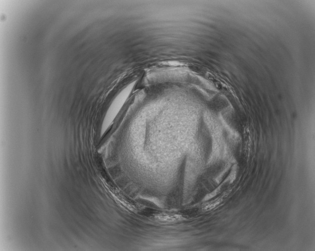 X0000087400712200705042035