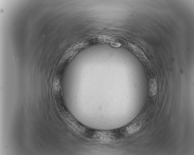 X0000087400713200705042035