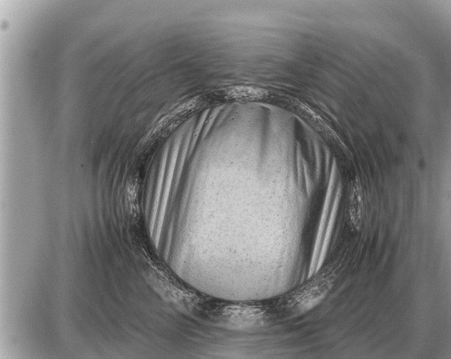 X0000087400714200705042035