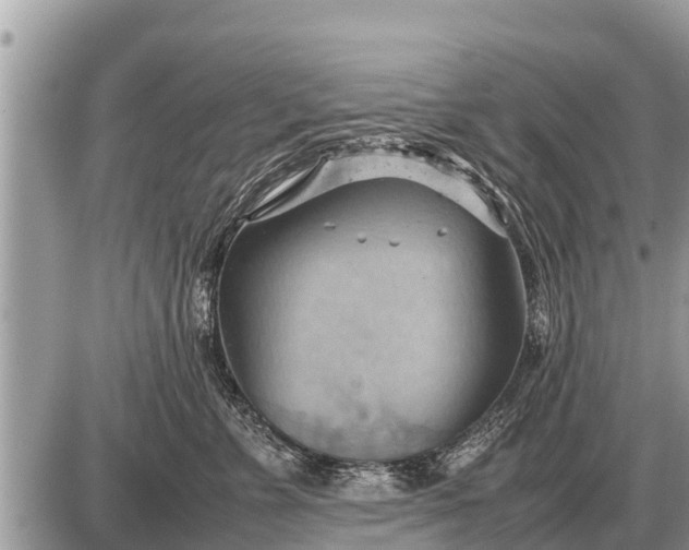 X0000087400715200705042035