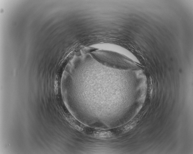 X0000087400716200705042035