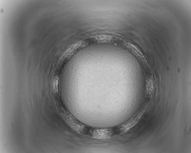 X0000087400717200705042035