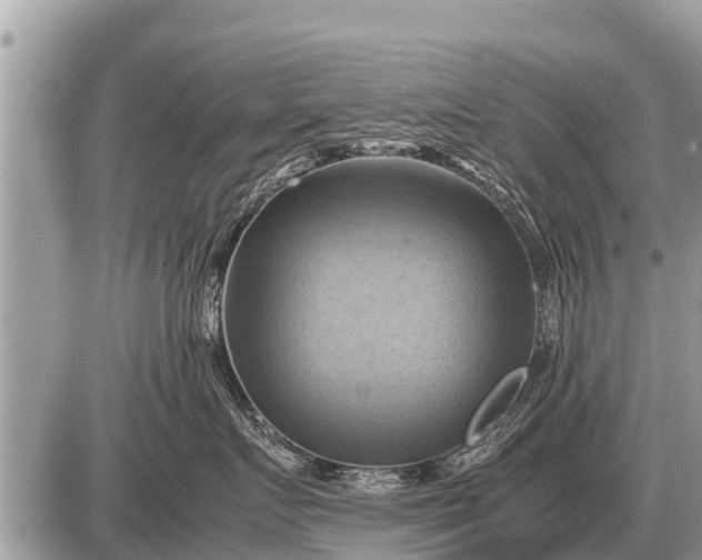 X0000087400719200705042035