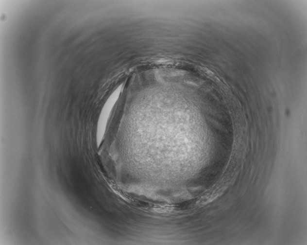 X0000087400720200705042035