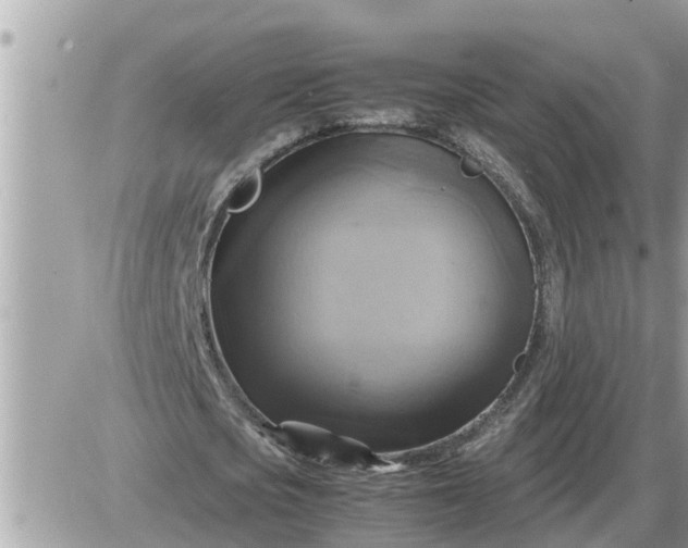 X0000087400721200705042034