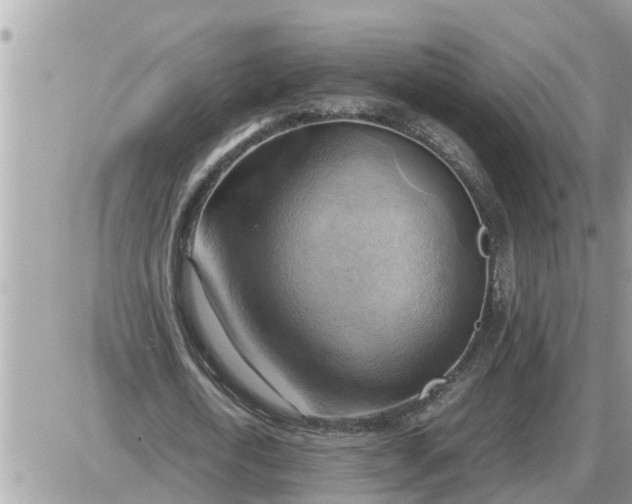 X0000087400722200705042034