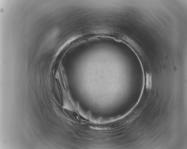 X0000087400723200705042034