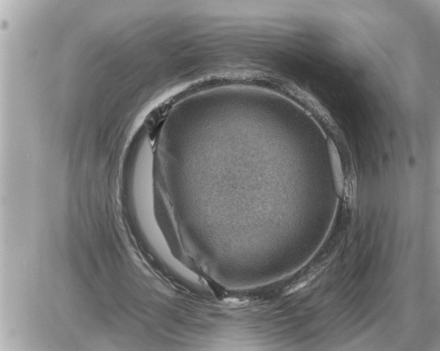 X0000087400724200705042035