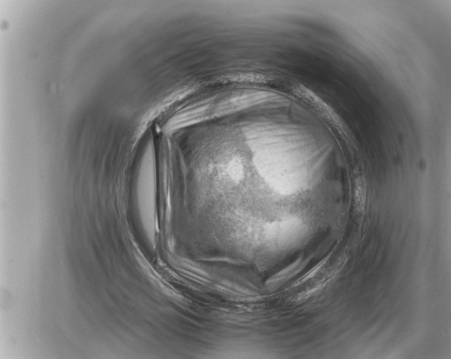 X0000087400725200705042035