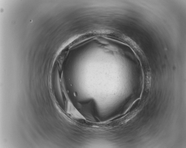 X0000087400726200705042035