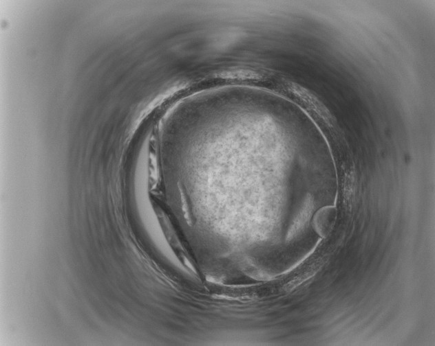 X0000087400727200705042035