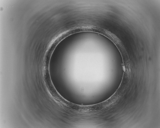 X0000087400728200705042035