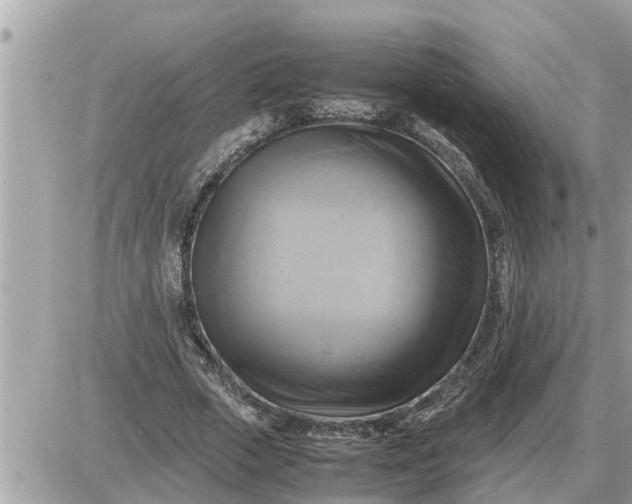 X0000087400729200705042035