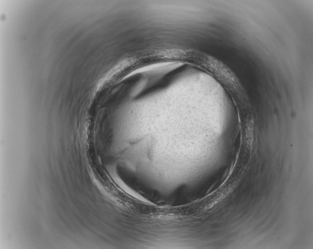 X0000087400730200705042035