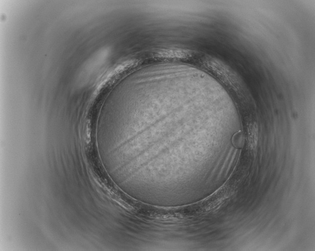 X0000087400731200705042035