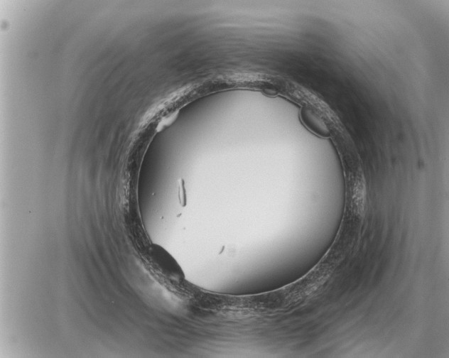 X0000087400732200705042035