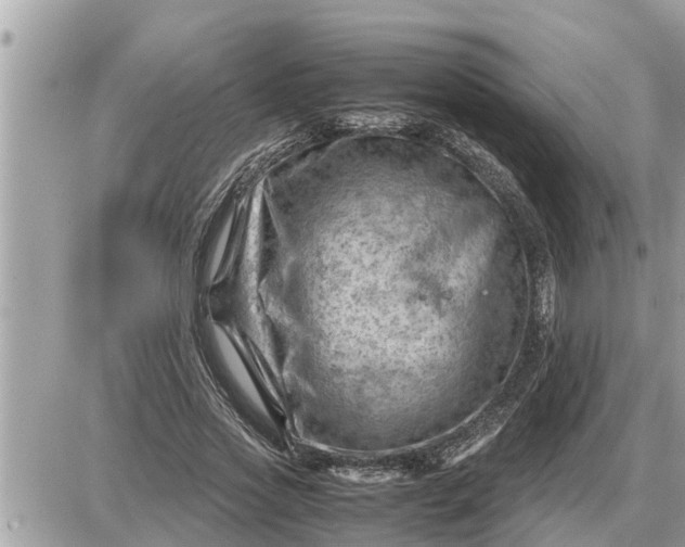 X0000087400733200705042035