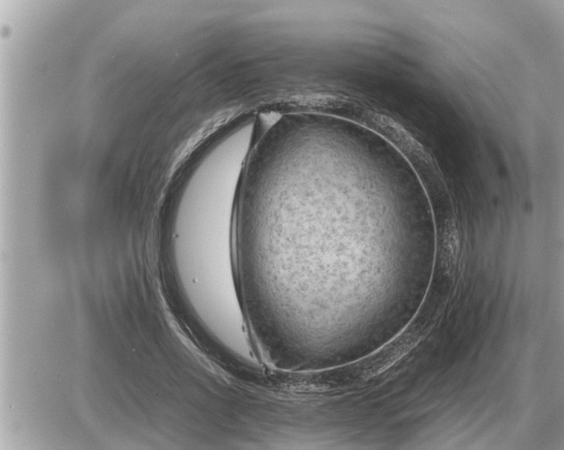 X0000087400734200705042035