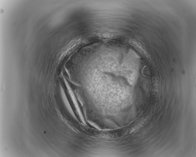 X0000087400738200705042035