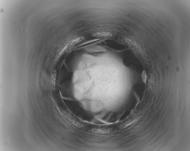 X0000087400739200705042035