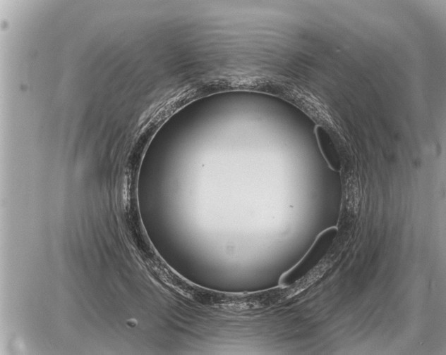 X0000087400740200705042035