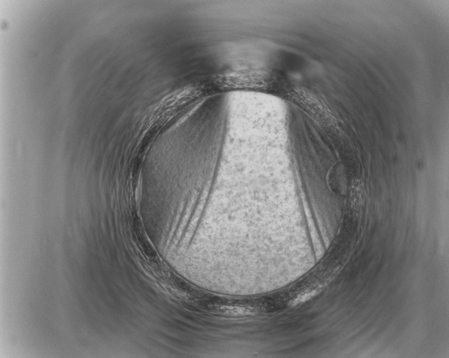 X0000087400741200705042035