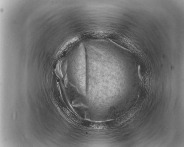 X0000087400742200705042035