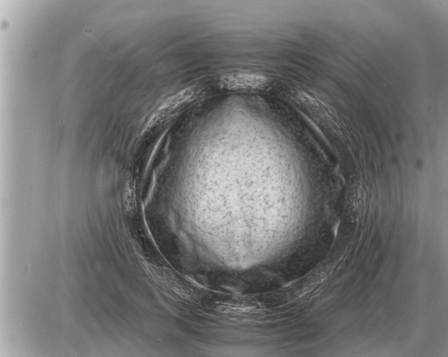 X0000087400743200705042035