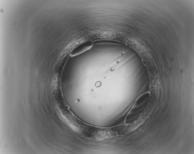 X0000087400744200705042035