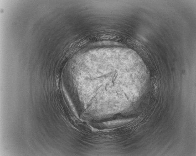 X0000087400745200705042035