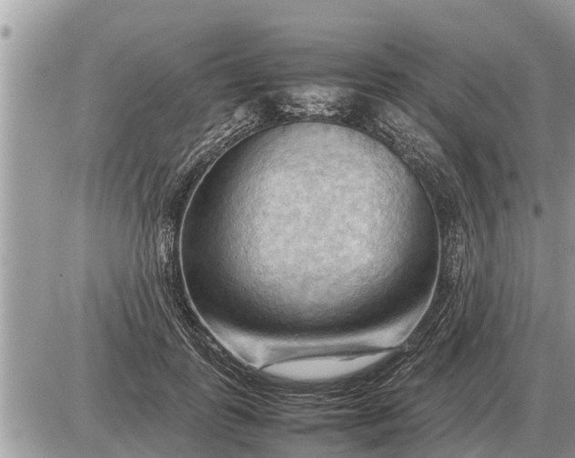 X0000087400747200705042035