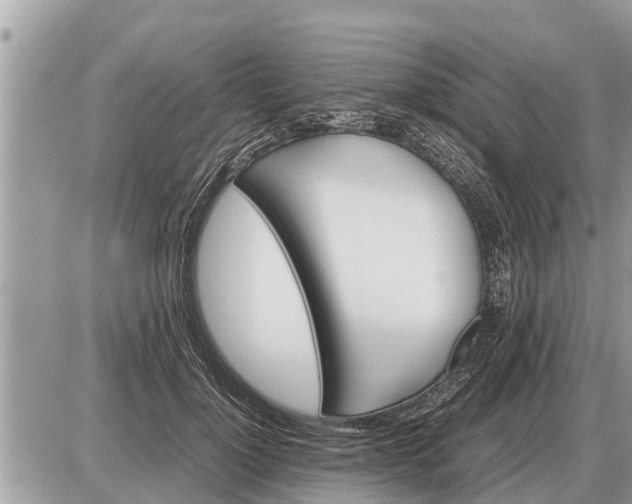 X0000087400748200705042035