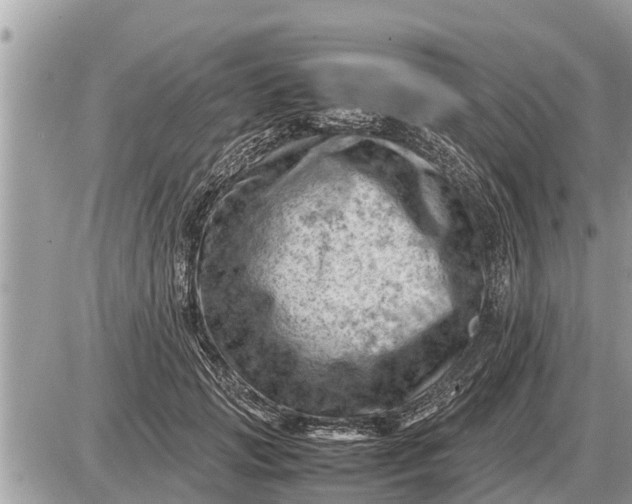 X0000087400749200705042035