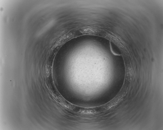 X0000087400751200705042035