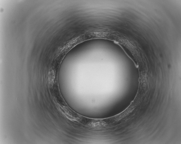 X0000087400752200705042035