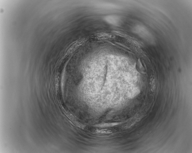 X0000087400753200705042035