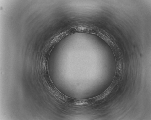 X0000087400754200705042035