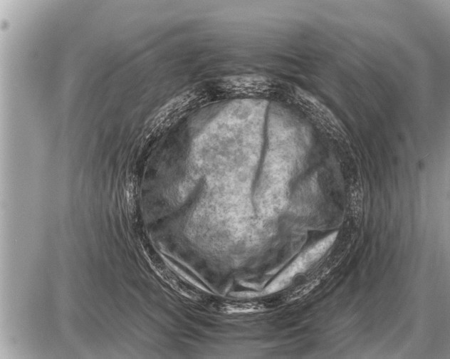 X0000087400757200705042035