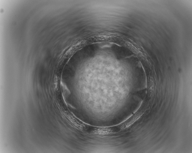 X0000087400758200705042035