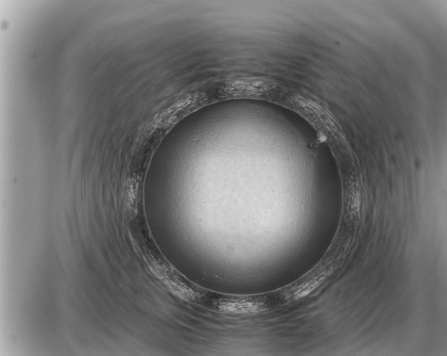 X0000087400759200705042035