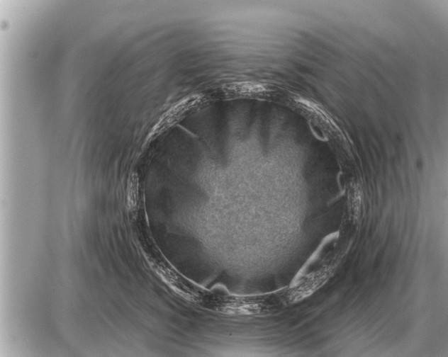 X0000087400760200705042035