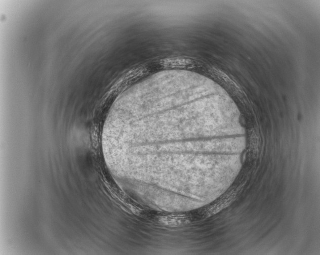 X0000087400761200705042035