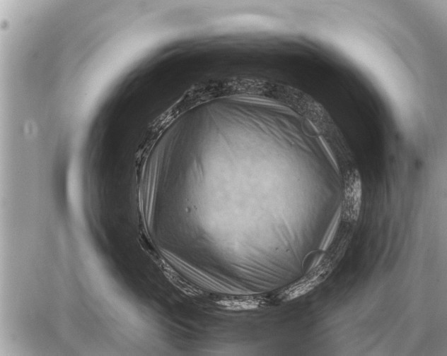 X0000087400765200705042035