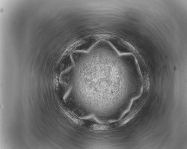 X0000087400766200705042035