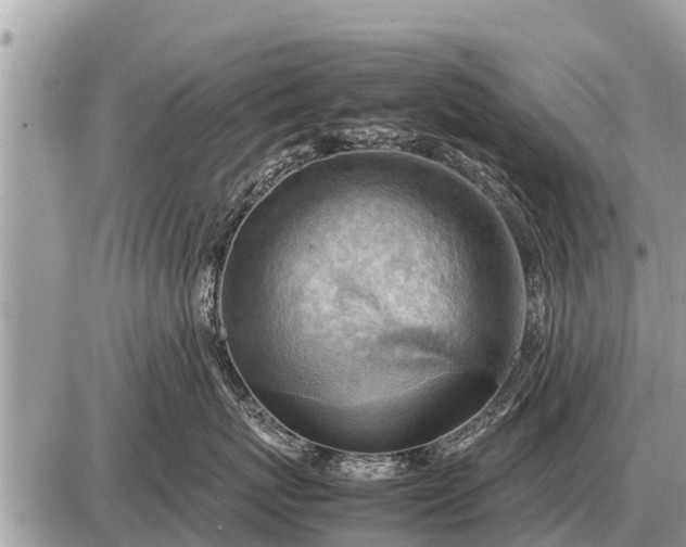 X0000087400767200705042035