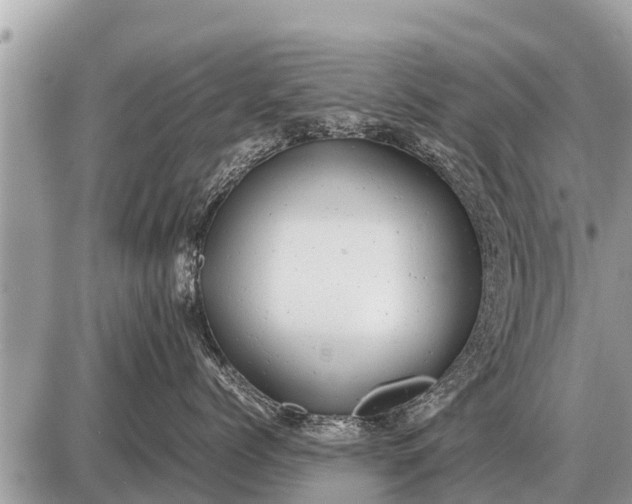 X0000087400768200705042035