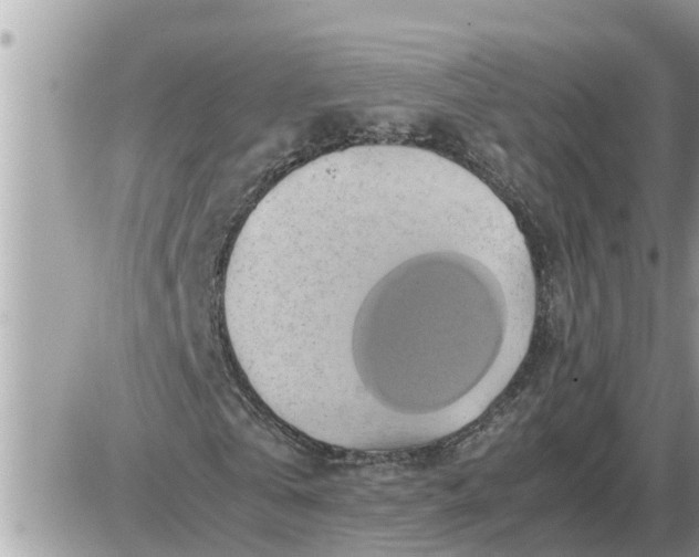 X0000087400769200705042034