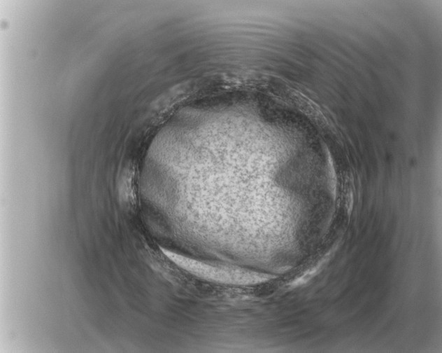 X0000087400770200705042034